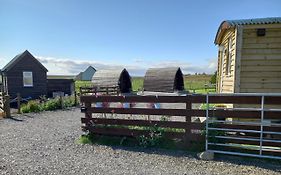 Hillside Camping Pods